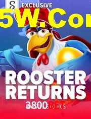 Crash Games Statistics 3800Bet