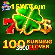 Statistics 3800Bet
