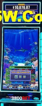 Welcome Bonus 3800Bet